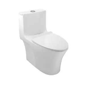 JAQUAR RIMLESS SINGLE PIECE WC(ONS-WHT-10853S300UFSM) (ONS-WHT-10853S300UFSM)