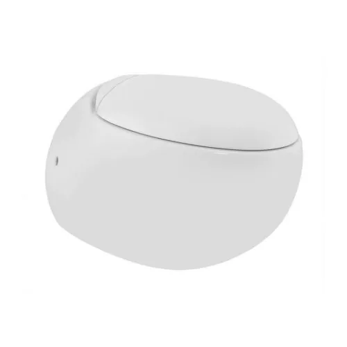 JAQUAR WALL HUNG WC(FSS-WHT-29951PP) (FSS-WHT-29951PP)