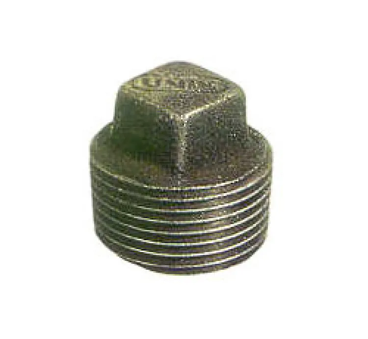 GI PLUG