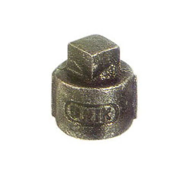 GI CAP PLUG