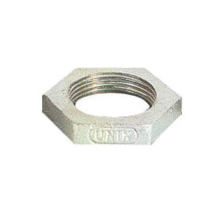 GI CHECK NUT
