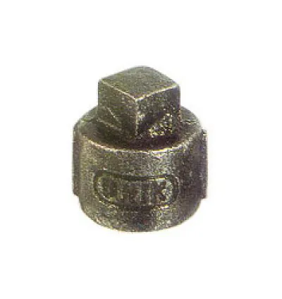 GI CAP PLUG