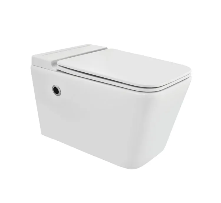 Jaquar Tankless Wall Hung WC (ARS-WHT-39961NBIUFSMTL)