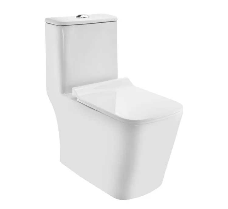 Jaquar Rimless Single Piece WC (CNS-WHT-855S300SPPSM)
