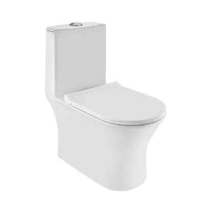 Jaquar Rimless Single Piece WC (CNS-WHT-853S300SPPSM)