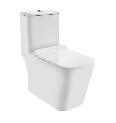 Jaquar Rimless Single Piece WC (CNS-WHT-855S300SPPSMY)