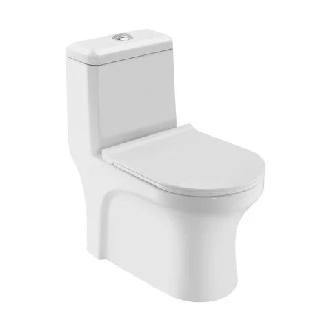 Jaquar Essco Single Piece WC (ECS-WHT-851S220SPPSM)