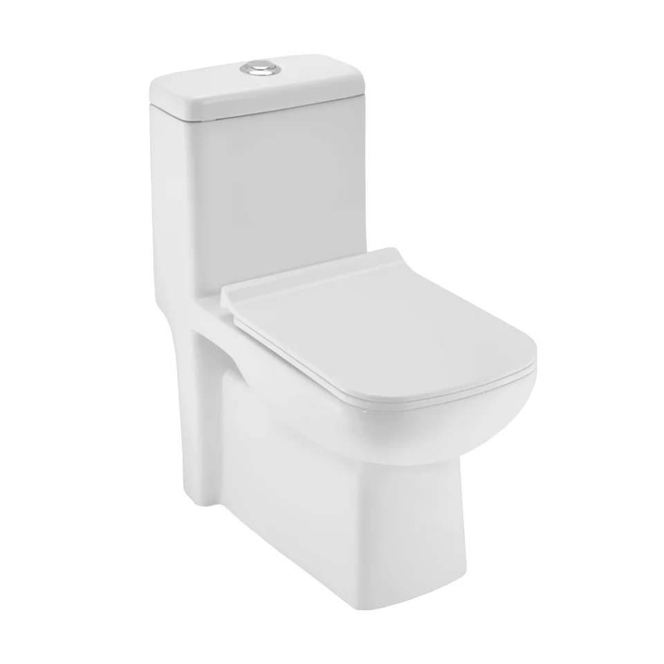 Jaquar Essco Single Piece WC (AIS-WHT-101851S220SPPSM)