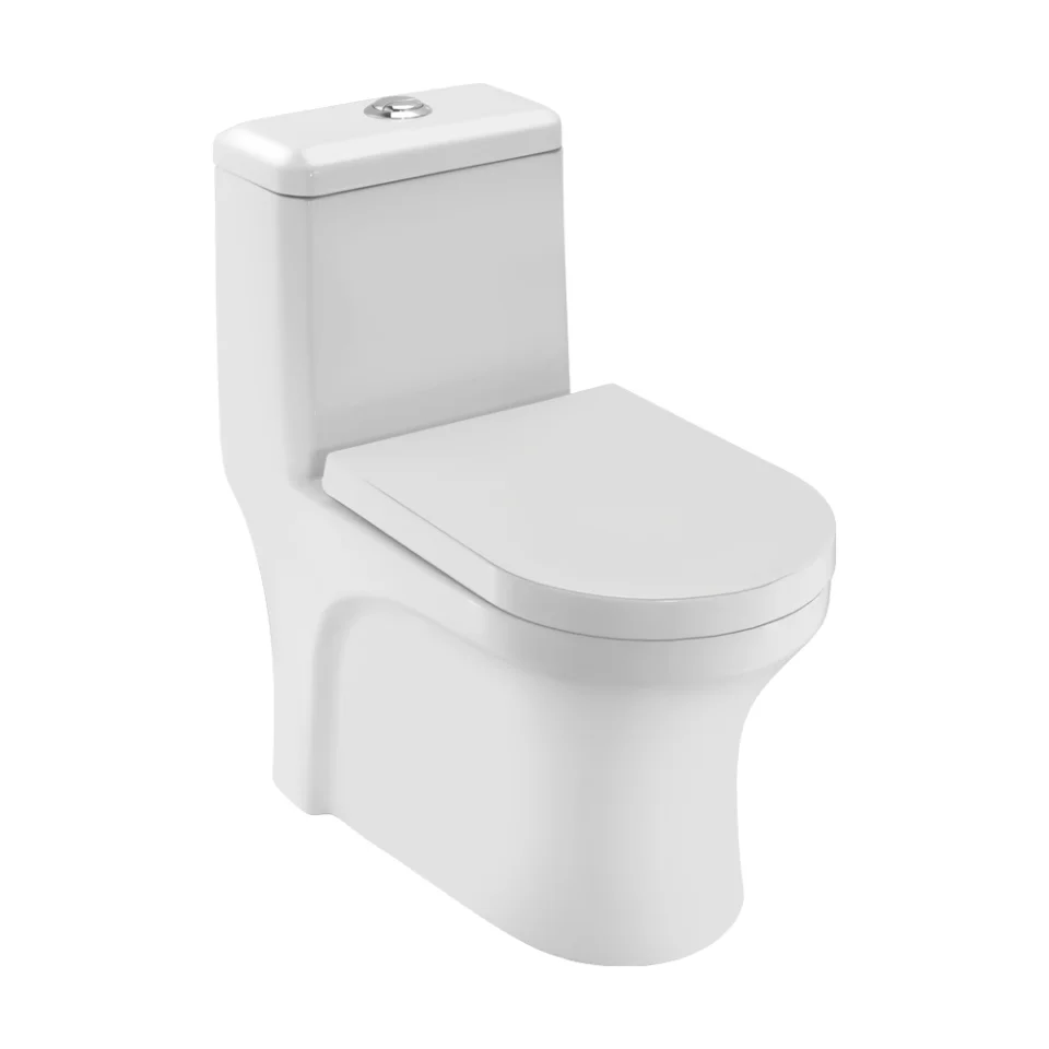 Jaquar Essco Single Piece WC (ECS-WHT-851S220NPP)