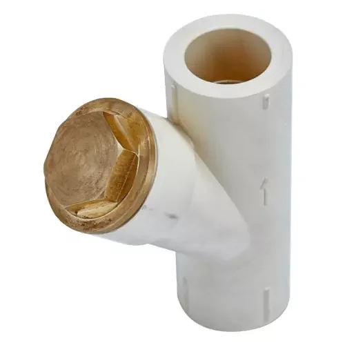Astral CPVC Pro Wye-Strainer