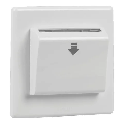 Havells Signia 30 A Key tag with time delay electronic (2 M)